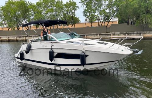 Four Winns V255 ficha tecnica